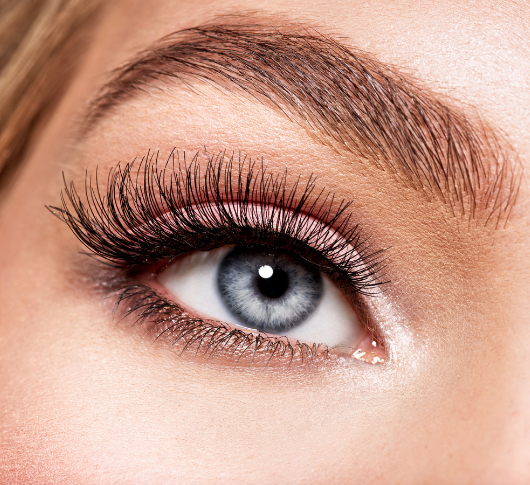Close-up of a blue eye with long lashes